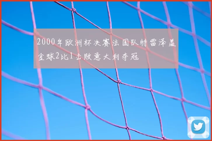 2000年欧洲杯决赛法国队特雷泽盖金球2比1击败意大利夺冠