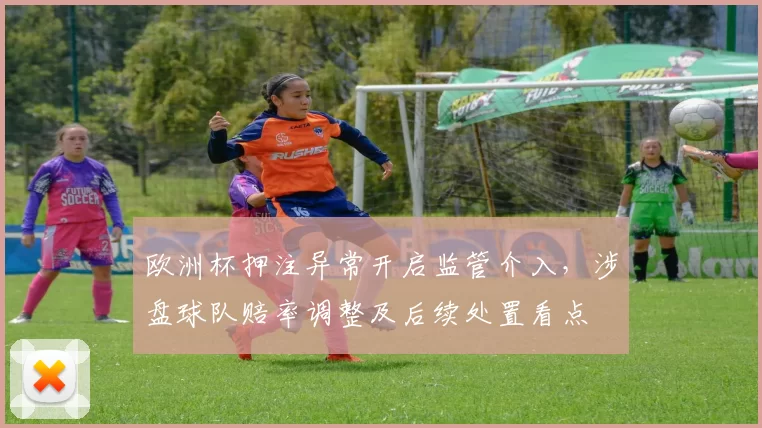 欧洲杯押注异常开启监管介入，涉盘球队赔率调整及后续处置看点