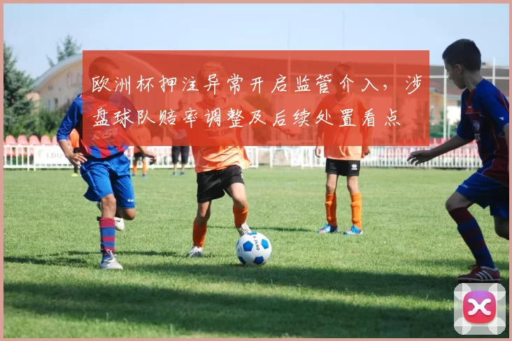 欧洲杯押注异常开启监管介入，涉盘球队赔率调整及后续处置看点